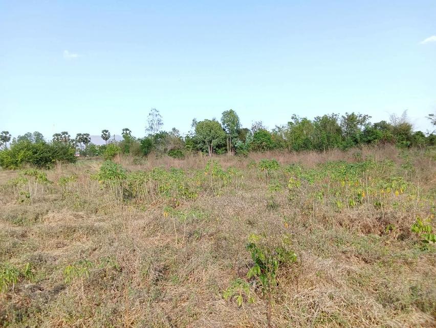 ขายที่ดินแปลงใหญ่ อำเภอทัพทัน จังหวัดอุทัยธานี ** ราคา 299 บาท/วา ** (N.2032) 1