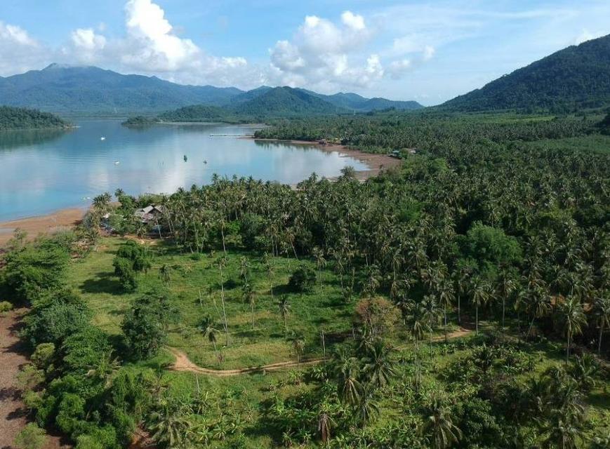 ขายที่ดินสุดพิเศษบนเกาะช้าง19ไร่ 11