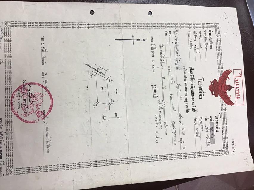ที่ดิน 5 ไร่ 1 งาน โฉนด นส.4 จ 1