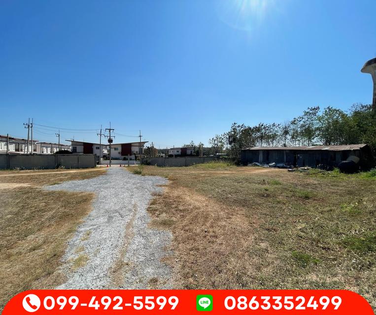 ขายด่วน ขายที่ดินต่ำกว่าราคาประเมิน ที่ดินติดริมถนนปลวกแดง เส้นLG 6