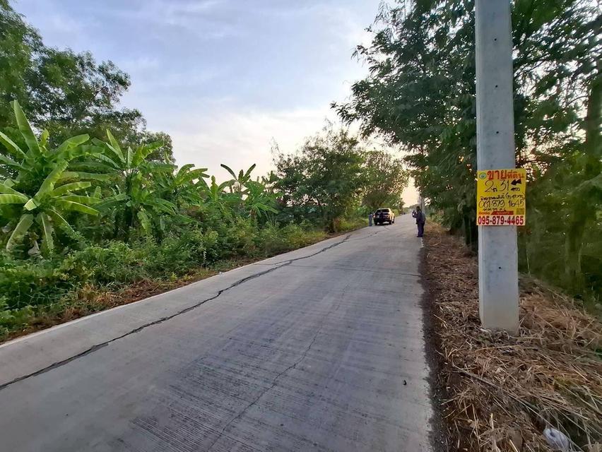ขายถูกที่ดิน 831 ตรว ติดถนนคอนกรีตสาธารณะ ซ.คลองหก ตต.19 คลองหลวง ปทุมธานี 6