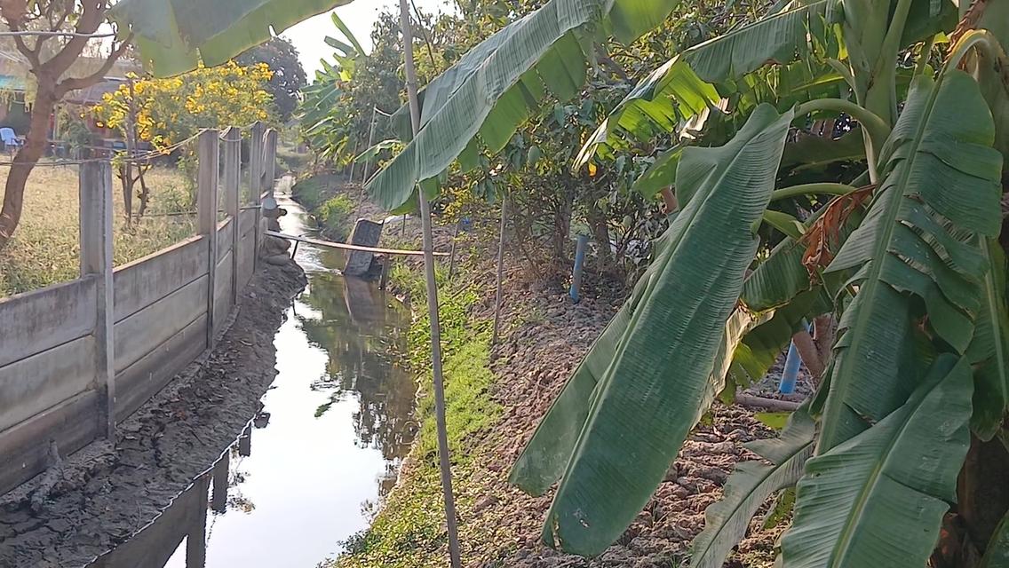 ที่ดินบ่อปลา ขนาด7ไร่ ราคา 4.49 ล้านบาท ดอนตูม นครปฐม 8