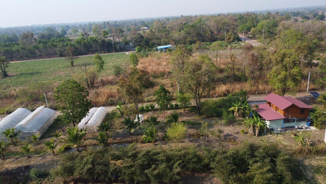 House for sale in KhonKaen 3