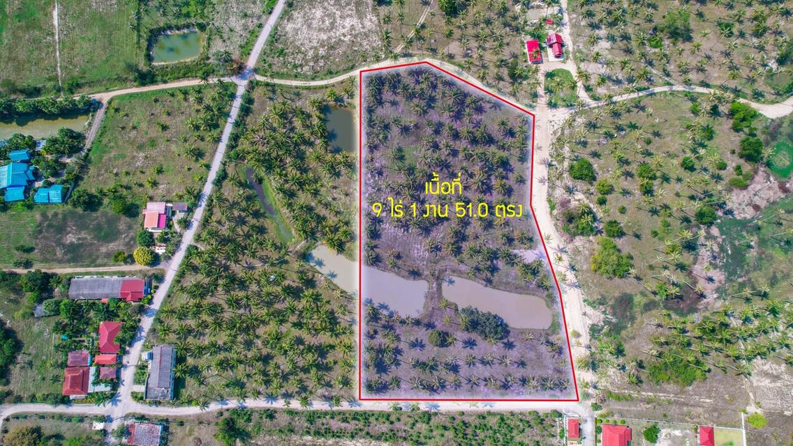 ที่ดินใกล้ทะเล ต.ห้วยยาง อ.ทับสะแก จ.ประจวบ 2