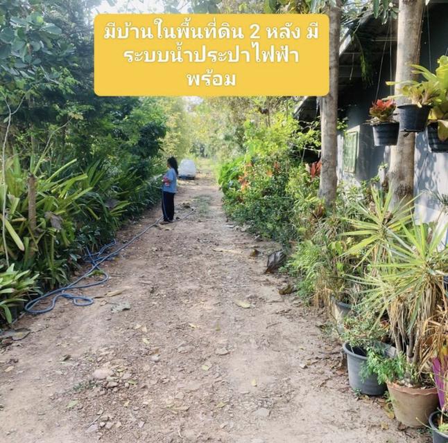 ขายที่ดิน5ไร่ติดถนนเพชรเกษมทำเลดี 7