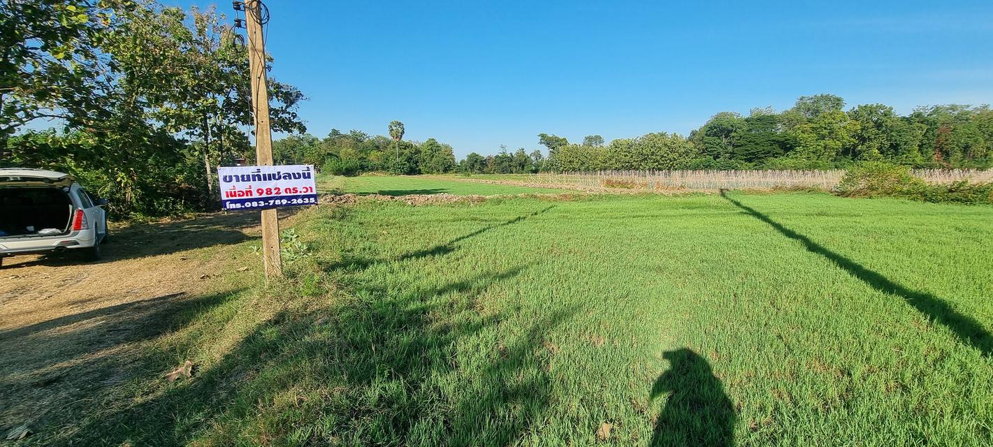 ขายที่ดิน พนมทวน 1