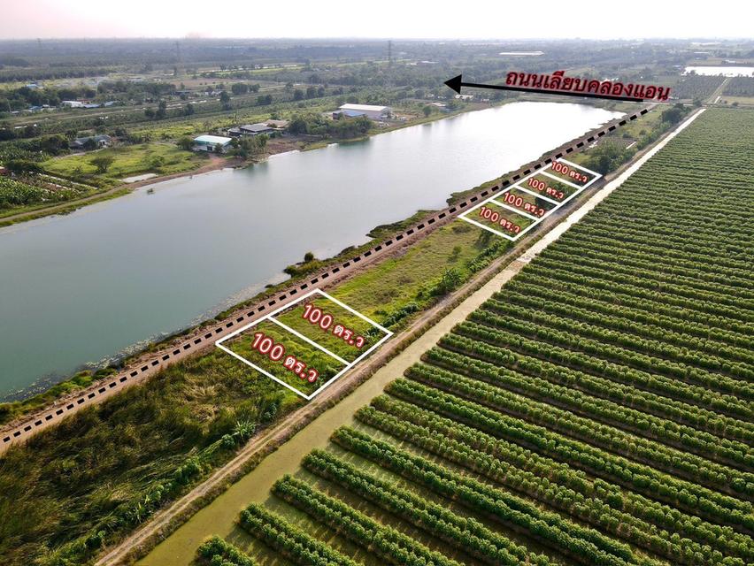 ที่ดินวิวบึง คลอง 10 หนองเสือ ปทุมธานี — แปลงละ 100 ตร.ว. 2