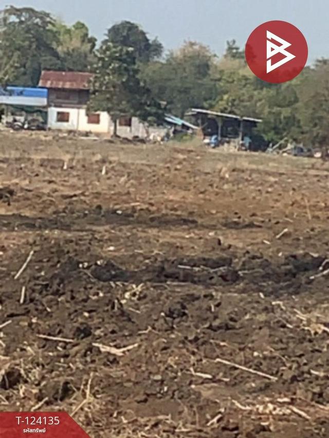 ขายที่ดิน เนื้อที่ 72 ไร่ 2 งาน 72. ตารางวา อำเภอชนแดน เพชรบูรณ์ 11