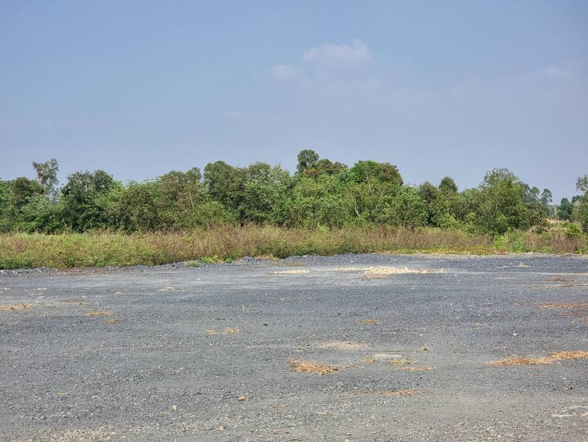 ขายที่ดินโฉนดนส.3ถมแล้ว 150 ตรว.ติดตลาดนัดเกาะขนุน ใกล้ถนนใหญ่3076เพียง120เมตร อ.พนมสารคาม ฉะเชิงเทรา 2