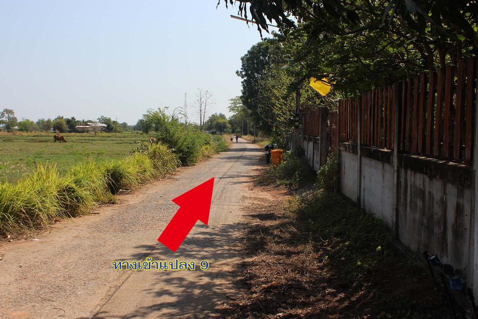 ที่ดินบ้านสวนชานเมืองขอนแก่น 9