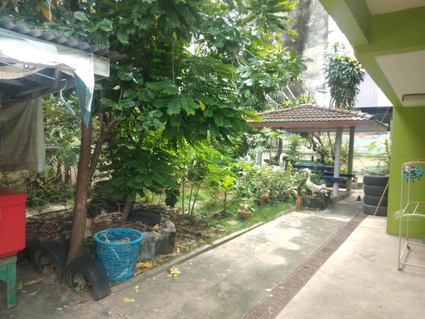 บ้านพร้อมที่ดิน  1