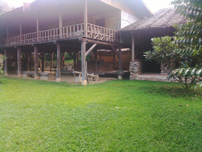 Lease  WOODEN HOUSE ON DOI THE FOREST TOP HILL CHIANG MAI 5
