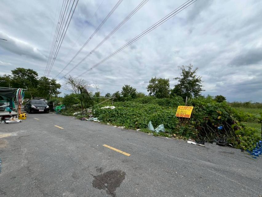 ขายที่ดินเปล่า ซอยฉัตรหลวง 2 ไทรน้อย นนทบุรี 3