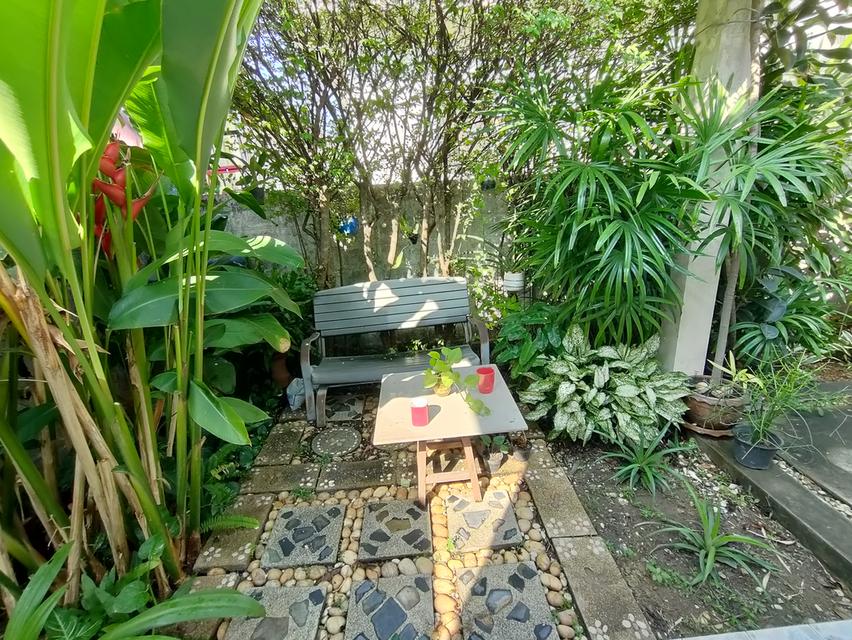 บ้านเดี่ยวชั้นเดียวร่มรื่นย่านธุรกิจ 7