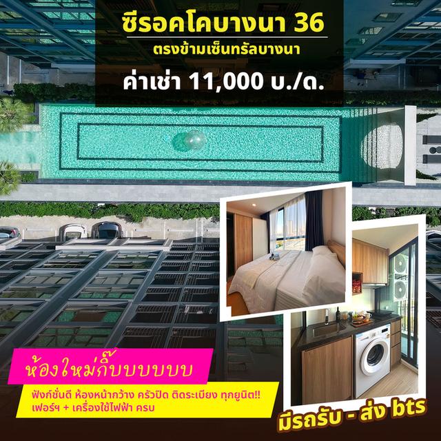 ปล่อยเช่าคอนโดใหม่กิ๊ป 1