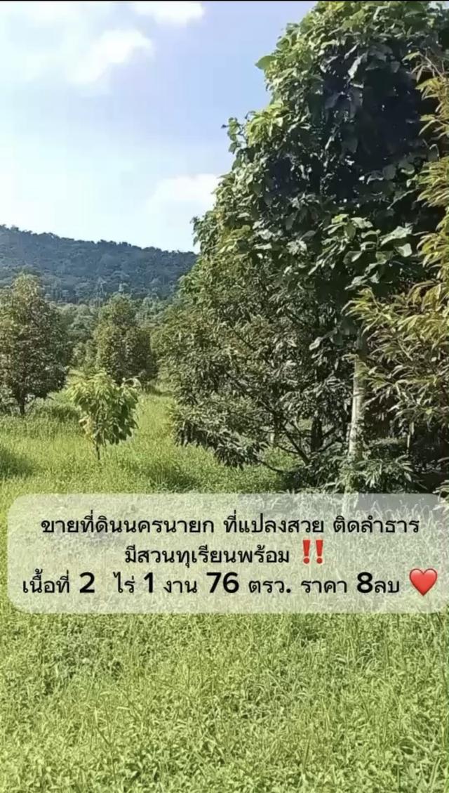 ขาย‼️ ที่ดินนครนายก  วิวภูเขา มีลำธาร และสวนทุเรียน 2