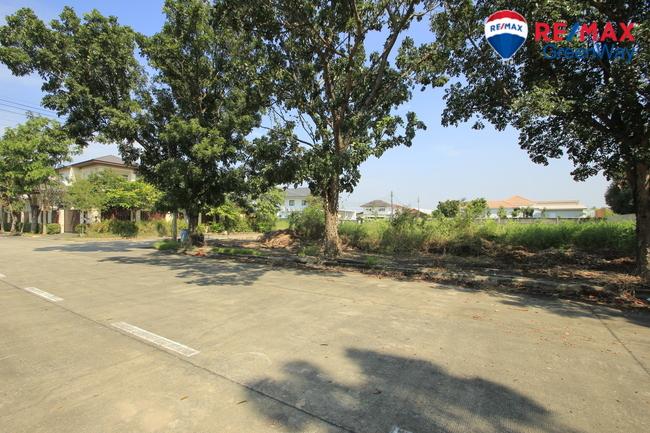 ที่ดินสร้างบ้านม.วริยาวิลล์ บรมราชชนนี พุทธมณฑลสาย4 ใกล้มหิดลศาลายา แปลงมุม ถนนเมน 305 ตร.ว สร้างบ้าน สำนักงาน ราคาพิเศษ 8