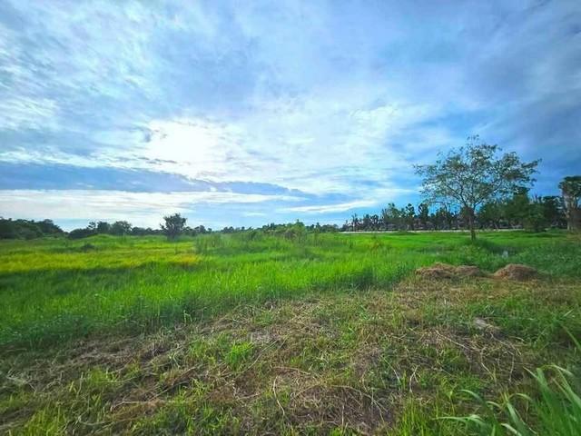 ขายที่ดินพานทองราคาถูก หนองหงษ์ พานทอง ชลบุรี บนเนื้อที่ 10 ไร่ ใกล้นิคมอมตะนคร 4