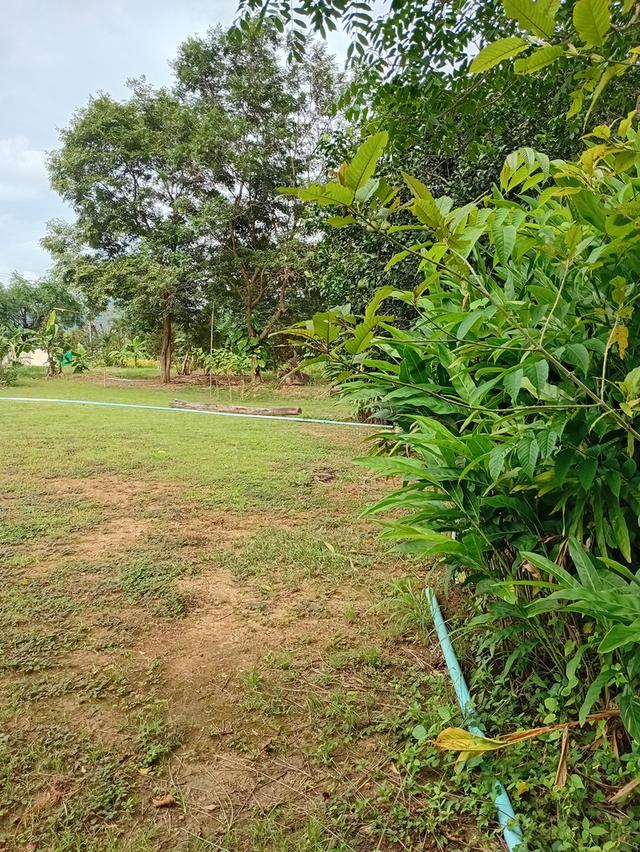 ตึกแถวชั้นเดียว ในอำเภอทองผาภูมิ 7