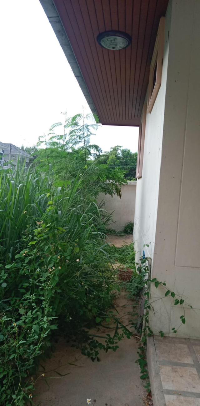 บ้านเดียว 1 ชั้น ไกล้ถนน รอบเมืองเชียงใหม่ หนองผึ้ง, สารภี , เชียงใหม่ 5