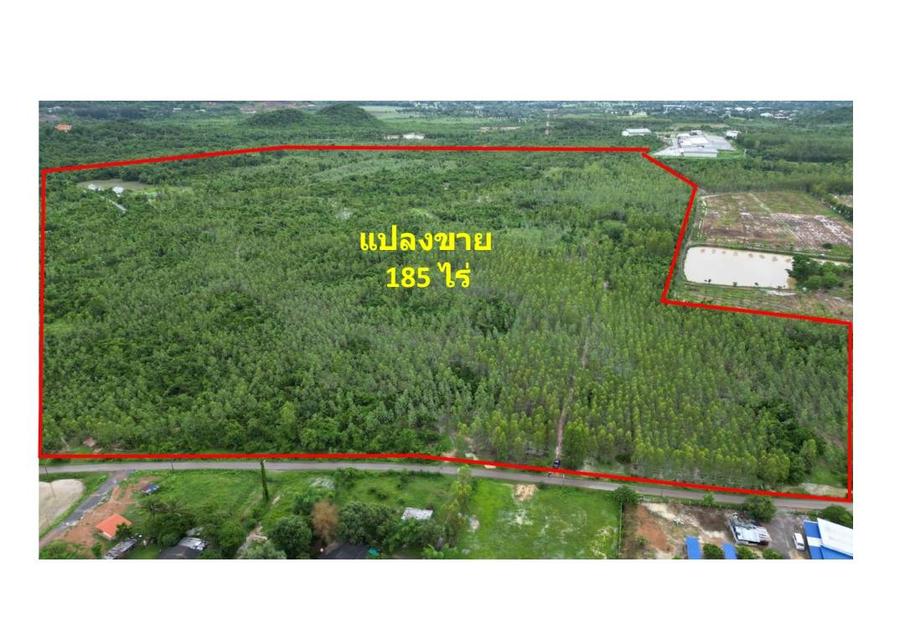 ที่ดิน 5
