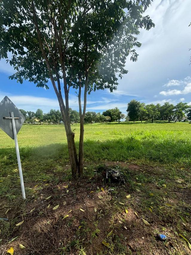 Land for sale in the Phoenix Golf and Country Club Pattaya 6