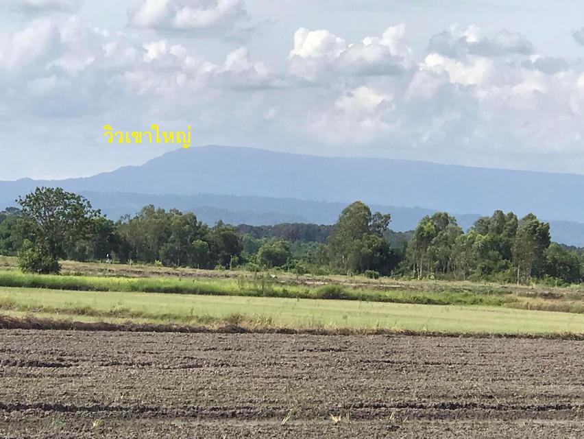 ที่ดิน ราคาถูก รีบขายด่วนมาก เป็นหนี้ 3