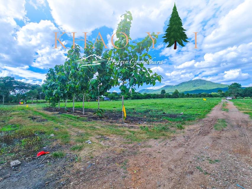 บรรยากาศเขาใหญ่ ปากช่อง #ติดลำธาร  เพียง 7,500/ตรว. ผ่อน12งวด #ฟรีดอกเบี้ย 13