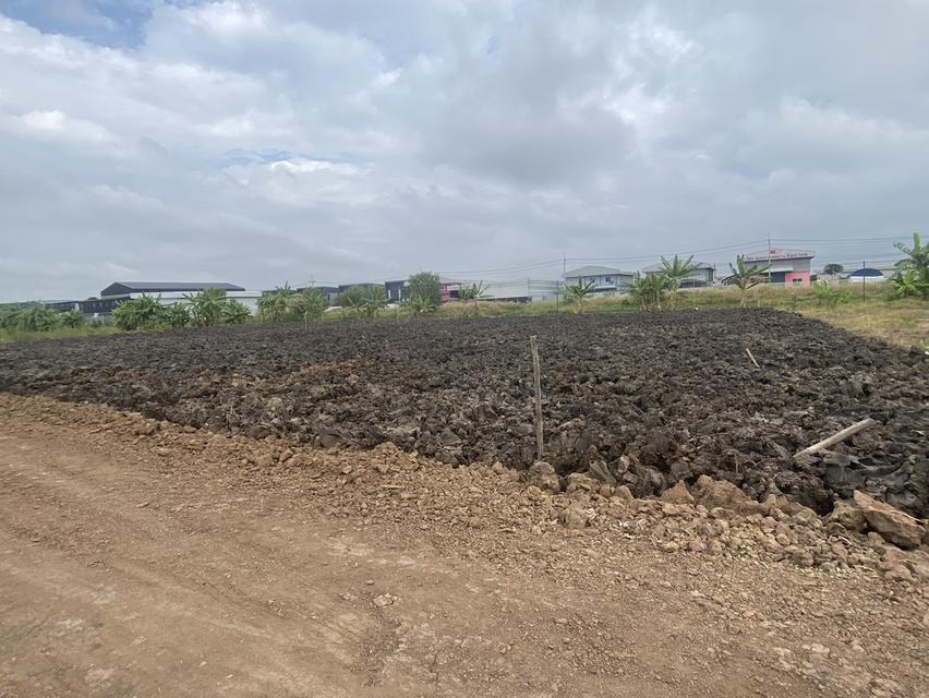 ที่ดินเปล่าถมแล้ว พร้อมสร้างโกดังมีบริการก่อสร้าง 2