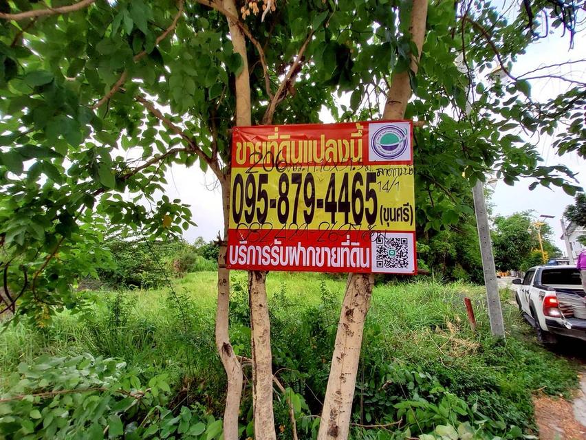 ขายด่วนที่ดิน 206 ตรว  ติดถนนคอนกรีต ซ.ลาดกระบัง 14/1 ราชาเทวะ บางพลี สมุทรปราการ 9