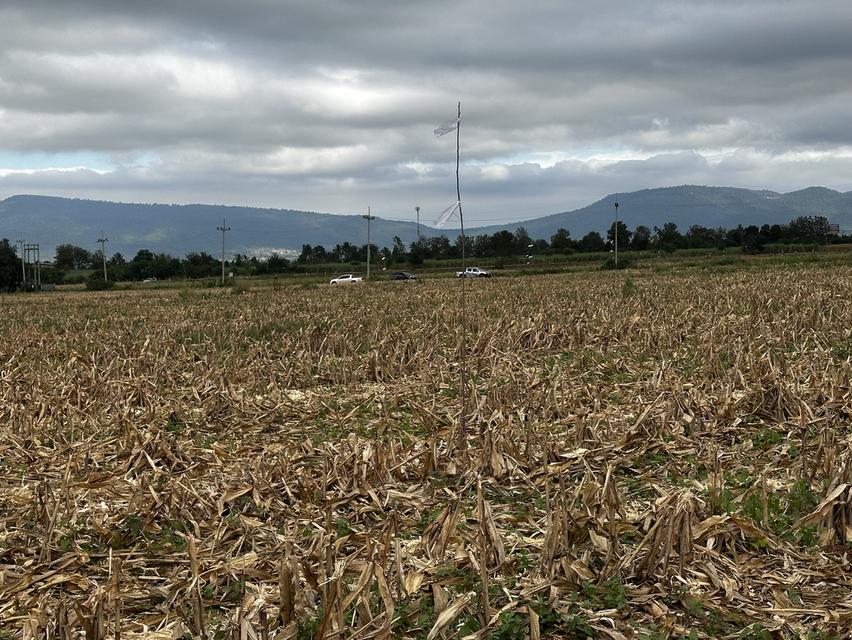 ที่ดินเขาใหญ่ มองเห็นวิวเขา 2ไร่ 2งาน 19ตรว หน้ากว้างติดถนนลาดยาง 77 เมตร ไฟ 3เฟส น้ำพร้อม ถนนลาดยางกว้าง 8 เมตร 3