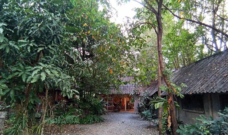 ที่ดินพร้อมบ้านเชียงใหม่ 2