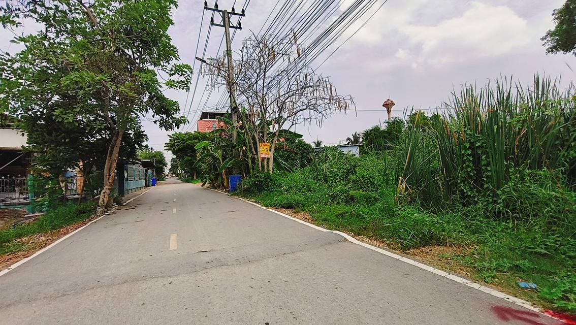 ขายที่ดิน112ตรว. บงกช65 ขายถูก.. 2