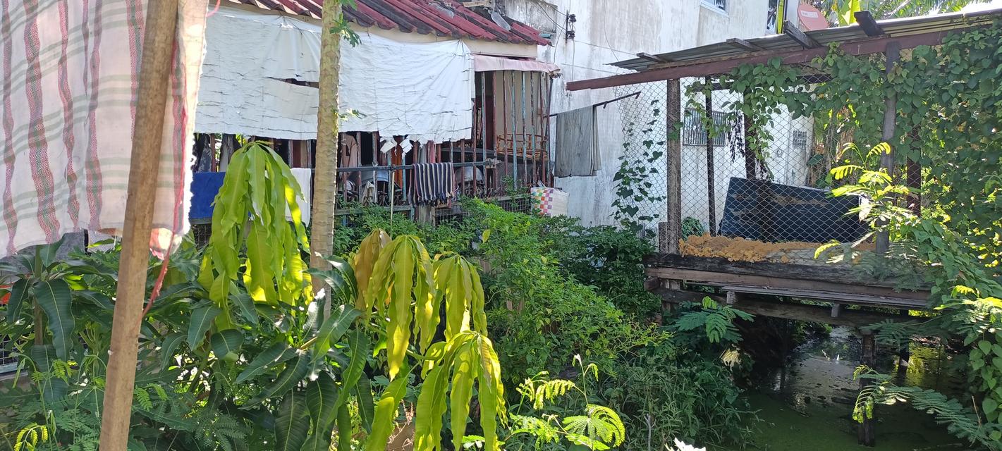 ขายที่ดินติดเทศบาลบางกรวย 9