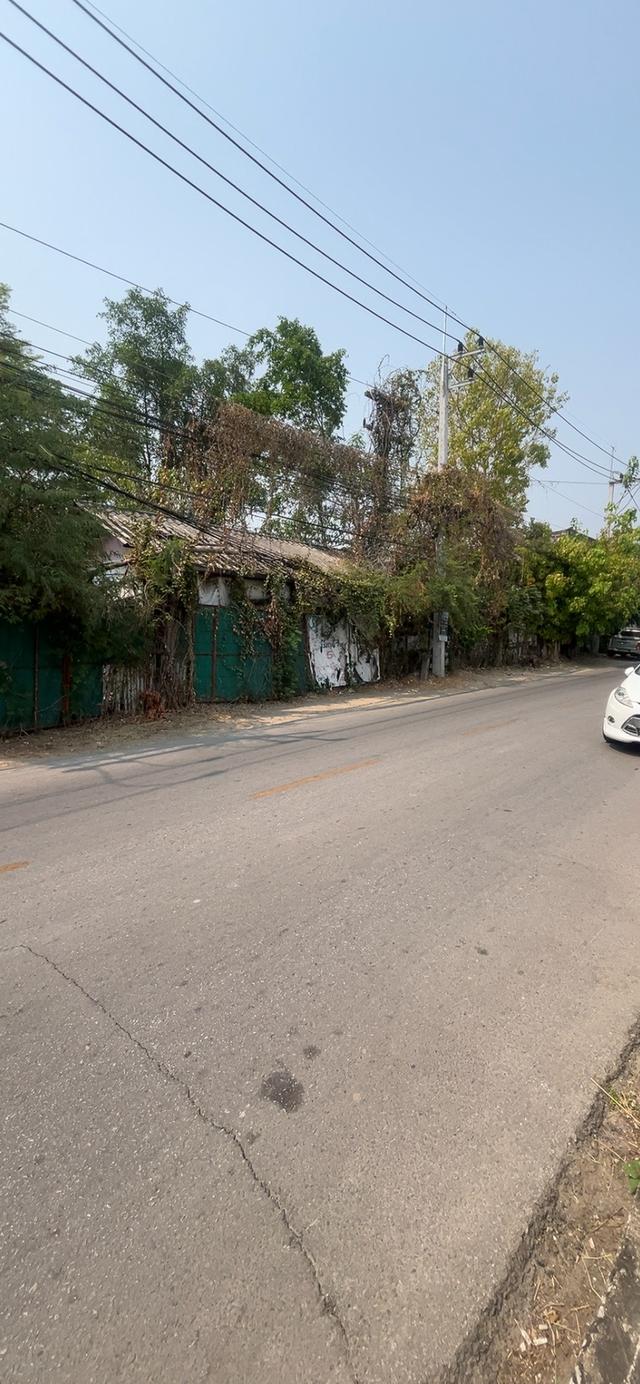 ที่ดินลำพูน อำเภอเมือง ติดถนนสันเหมืองเหนือ 4