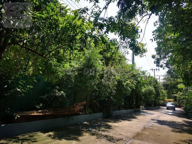 ขายที่ดินทำเลทอง สวนหลวง (เนื้อที่ 1 ไร่ ขาย 45 ล้าน) สวนหลวง กรุงเทพฯ 6