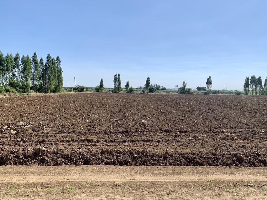 ขายที่ดินสวย2แปลง เนื้อที่รวม26ไร่เศษ ใกล้มอเตอร์เวย์ สภาพแวดล้อมดี เหมาะลงทุน,จัดสรร,ทำเกษตรหรืออื่นๆ คมนาคมสะดวก 14