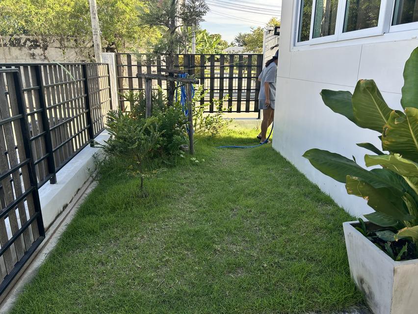 ให้เช่าบ้าน ซอย ใร่ขิง 36 3