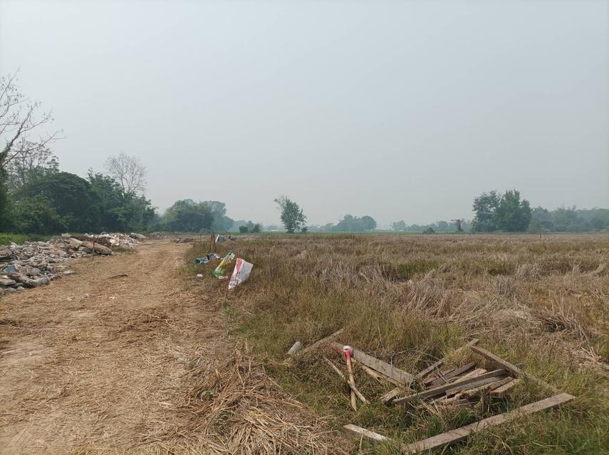 ขายที่ดิน 9,900บาท/ตร.ว. ต.สันปูเลย อ.ดอยสะเก็ด จ.เชียงใหม่ 9