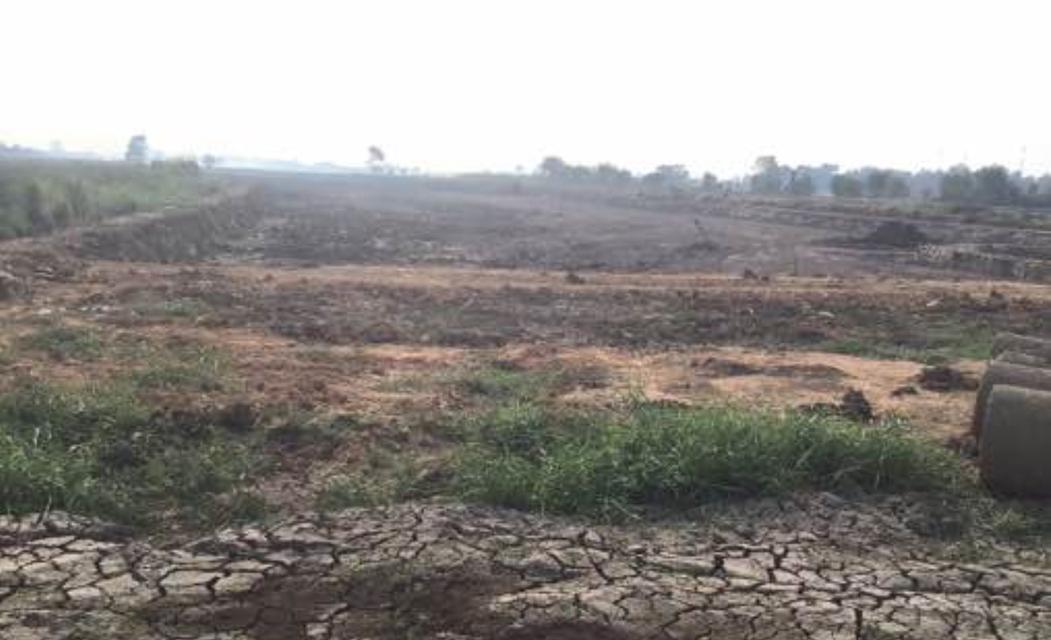 ขายด่วน 960,000/ไร่ ที่ดินสวย 14 ไร่ ติดถนน 3304 แหลมประดู่ บ้านโพธิ์ วังอู่ ฉะเชิงเทรา 4