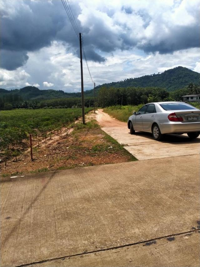 ขายด่วน !! ที่ดิน 263-3-26 ไร่ ระยอง ป่ายุบใน เหมาะสร้างหมู่บ้าน ทำสวน โรงงาน ปศุสัตว์ 2