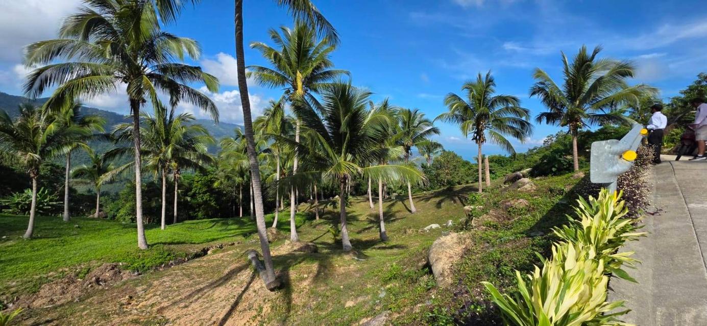 ที่ดินซีวิวบนเกาะสมุยอากาศดี 15