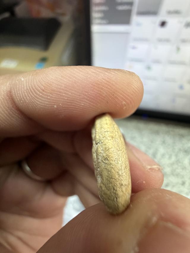 กรุวัดพลับ พิมพ์ไม่สมบูรณ์ แต่เนื้อจัดจ้านมาก รูปที่ 4