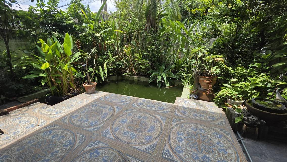 ขายบ้านเอกมัย 22 ซอยเยาวราช สุขุมวิท ที่ดิน 42 ตร.ว สภาพแวดล้อมน่าอยู่ ถนนกว้าง เข้าออกได้ทั้งเอกมัย ปรีดีพนมยงค์ ใกล้ BTSทองหล่อ Sukhumvit Ekkamai 4