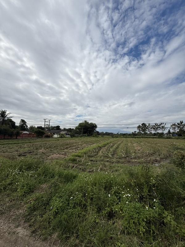 แบ่งขายที่ดิน 14 แปลง ขนาด 75-122 ตารางวา ตั้งอยู่ที่ ตำบลแม่ปูคา อำเภอสันกำแพง จังหวัดเชียงใหม่ (เจ้าของขายเอง) โทร 0806169615 6