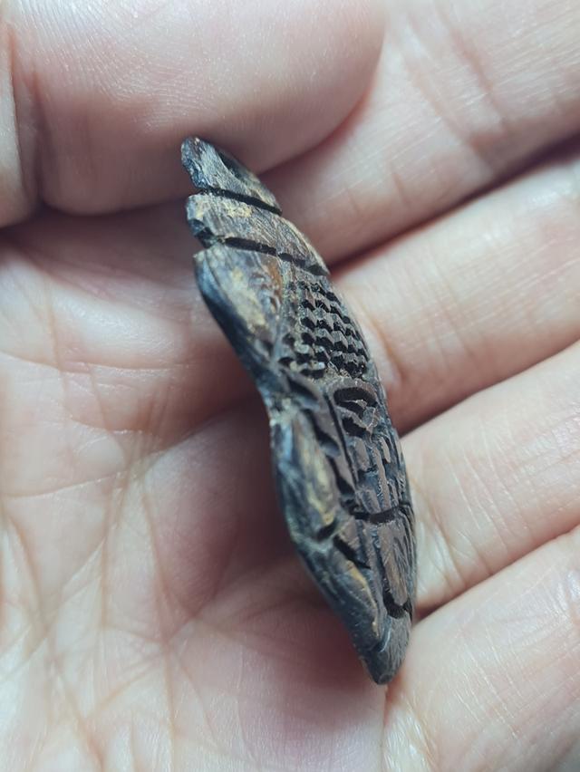 กะลาแกะ ไม่ทราบสำนัก รูปที่ 3