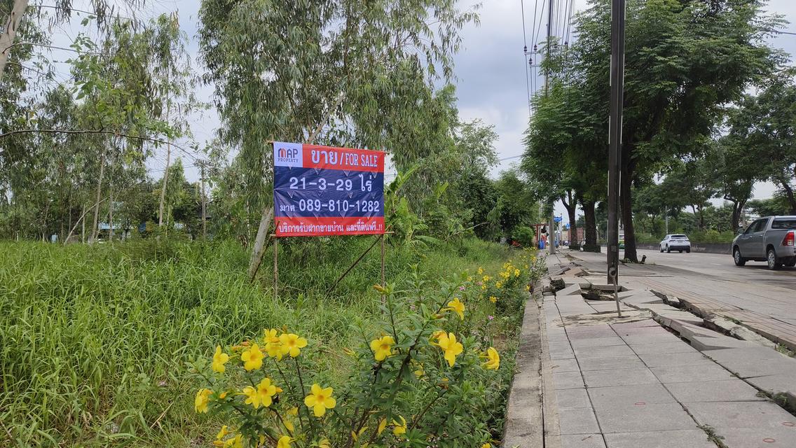 ขายด่วน ที่ดินติดถนนใหญ่ ราคาถูก 2