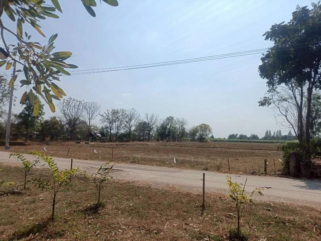 ที่ดินขนาด 6 ไร่ 3 งาน 84 ตารางวา ตำบลทุ่งหลวง อำเภอปากท่อ จังหวัดราชบุรี 7