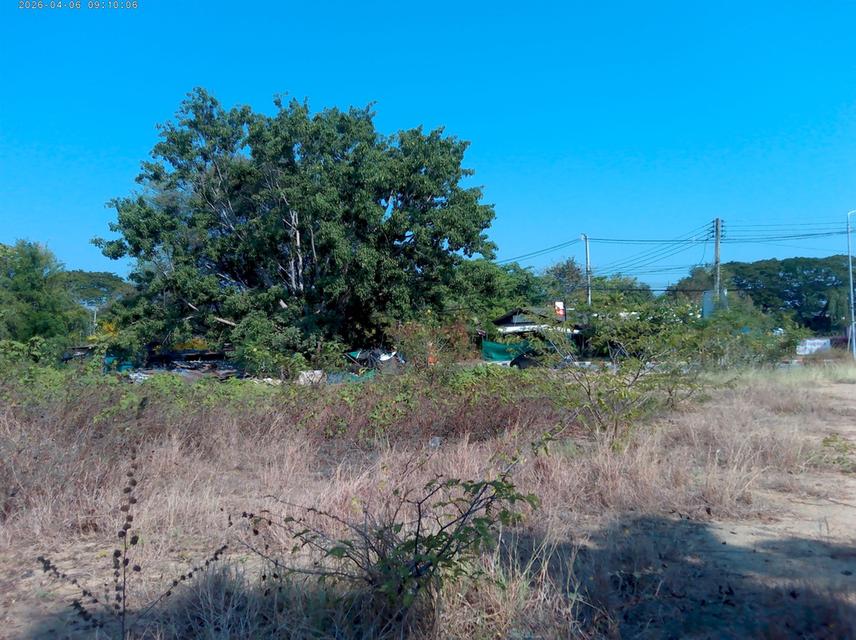 ที่ดินเปล่า ใกล้ถนนหลัก 2ไร่ 3งาน เหมาะสำหรับลงทุน 5