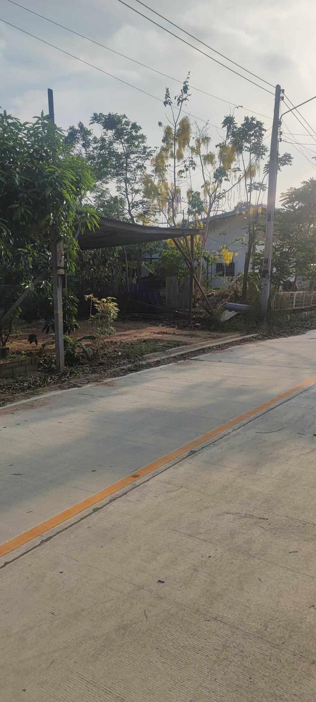 ขายที่ดินโป่งติดถนนคอนกรีต 50 ตรว. ห้วยยายมุก ใกล้ถนนทล.สายเอเชีย123-1กม. อ.บางละมุง ชลบุรี